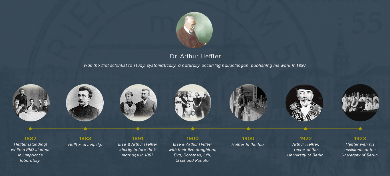 Image of a banner timeline of Dr. Arthur Heffter's life